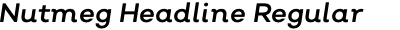 Nutmeg Headline Regular Italic